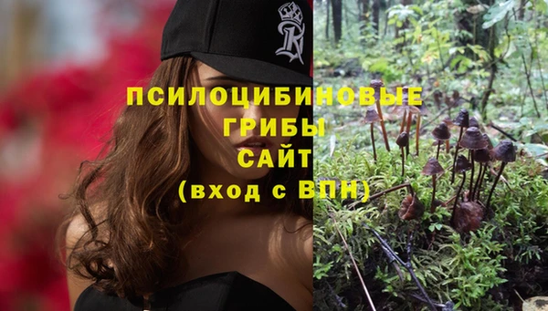 шишки Заволжск