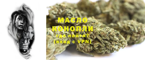 шишки Заволжск