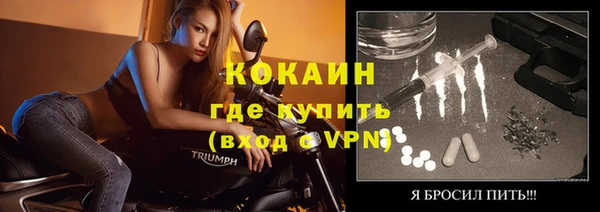 шишки Заволжск