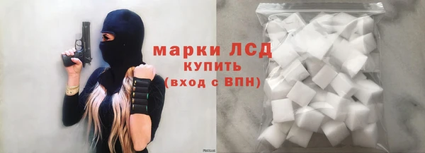 шишки Заволжск