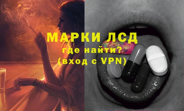 шишки Заволжск
